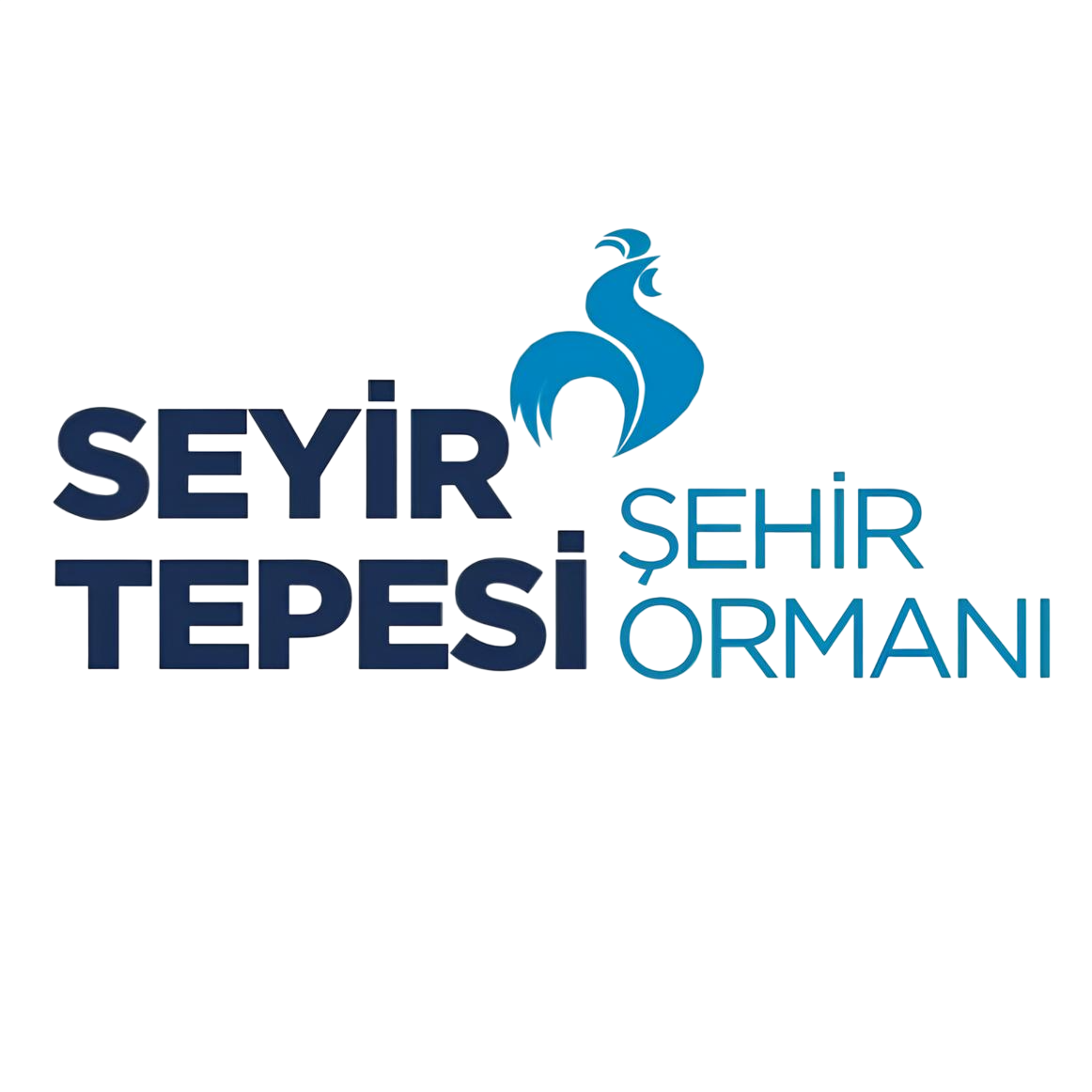Seyirtepesi